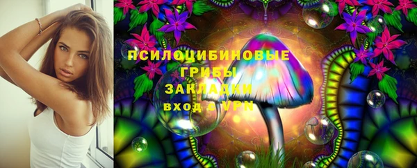 метадон Алексин