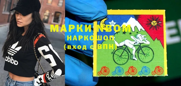 метадон Алексин